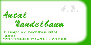 antal mandelbaum business card